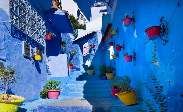 Chefchaouen stairs and plants